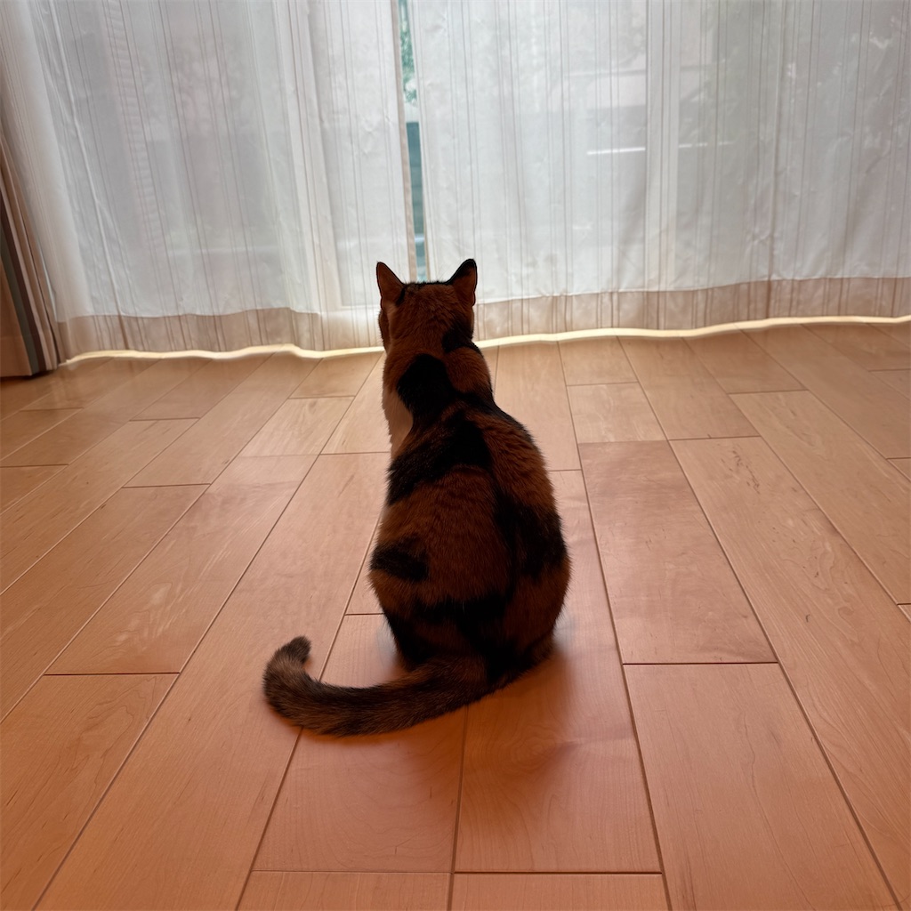 f:id:tetsu-san:20260627204817j:image