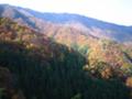 [鳥取][おでかけ][紅葉][風景]鳥取 若桜町の奥の紅葉