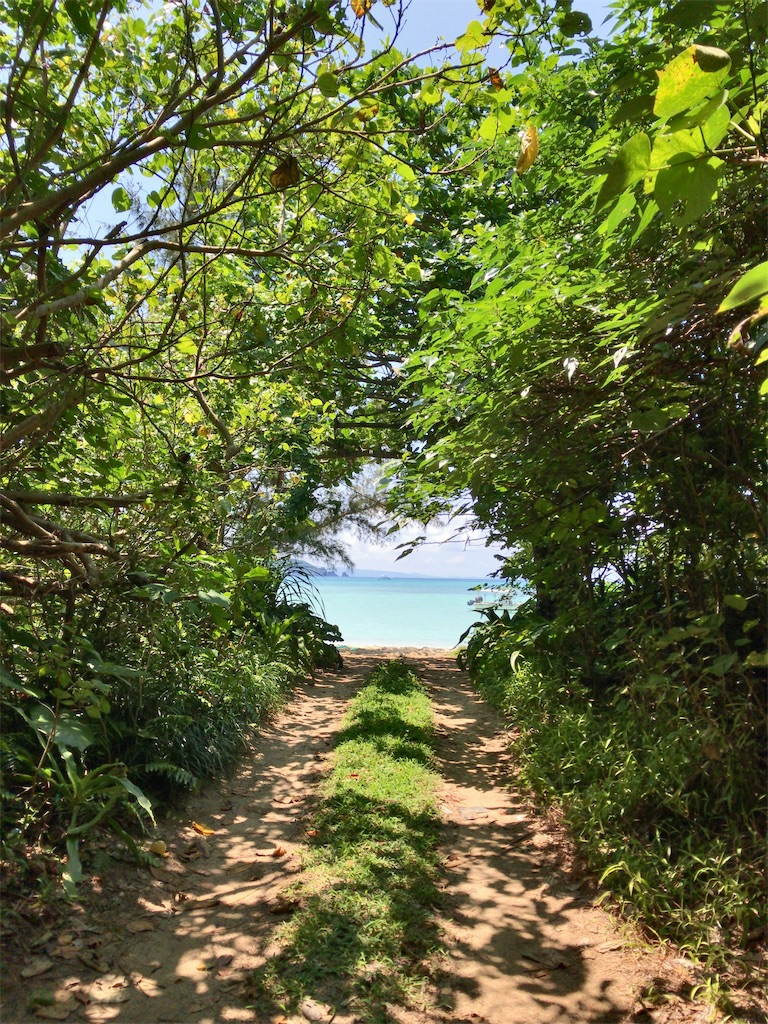 f:id:tetsu7906:20190712161709j:image