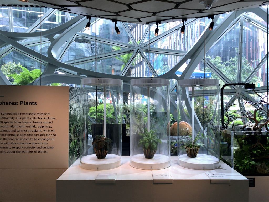 f:id:tetsu7906:20191003075538j:image f:id:tetsu7906:20191003075538j:image