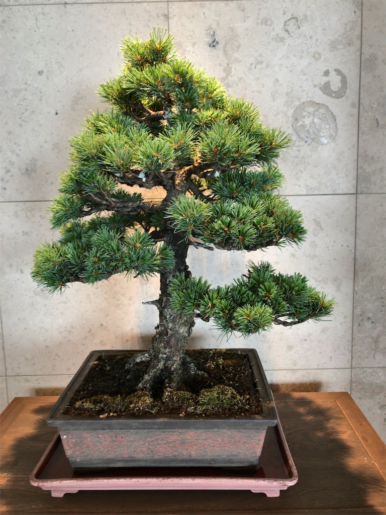 f:id:tetsu7906:20191019172813j:image