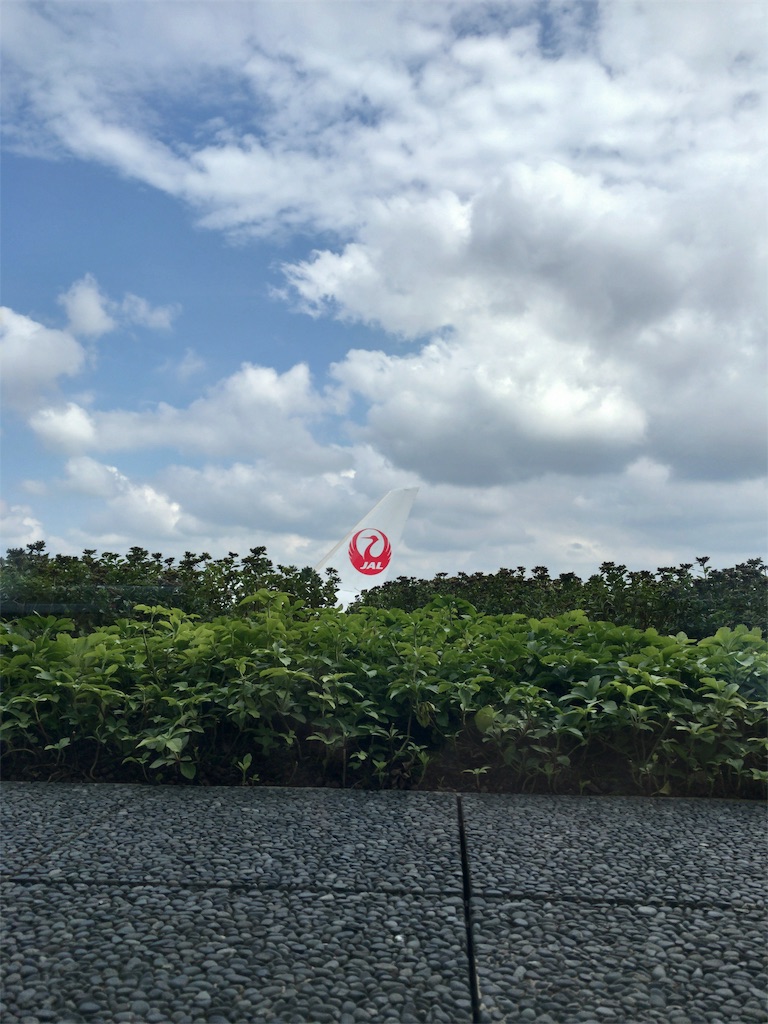 f:id:tetsu7906:20191019172957j:image