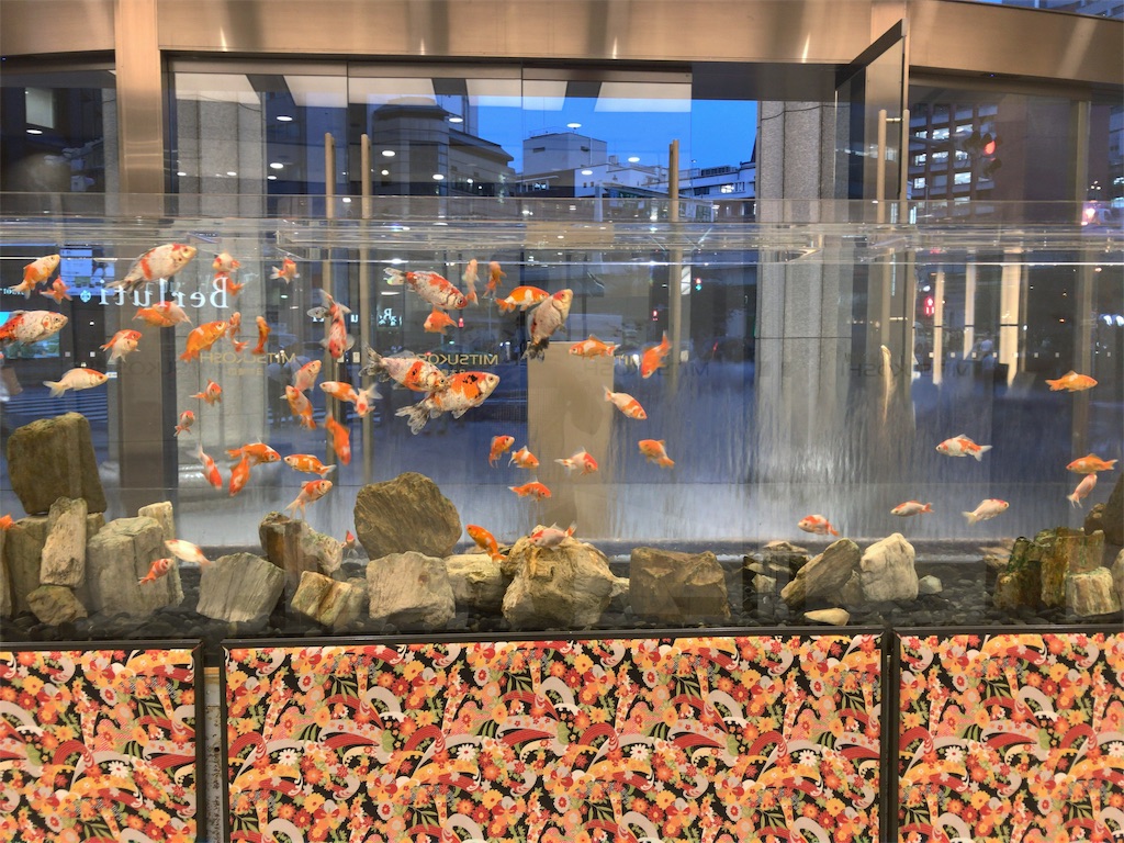 f:id:tetsu7906:20191112085238j:image