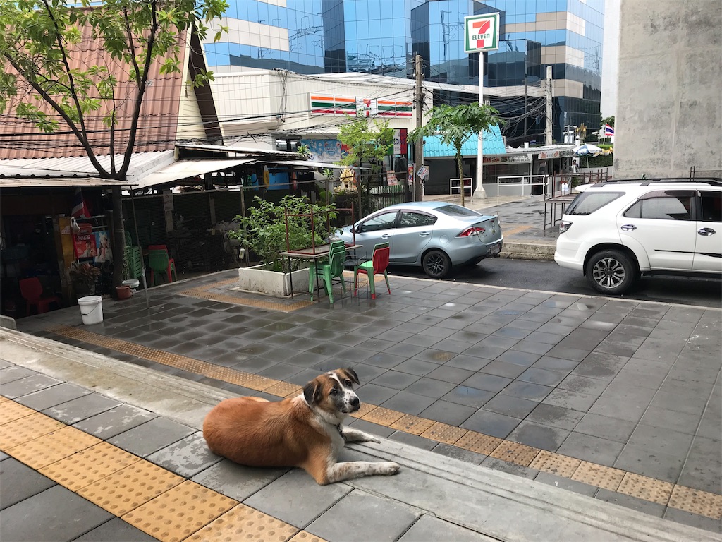f:id:tetsu7906:20191213140146j:image