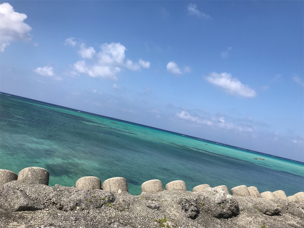 f:id:tetsu7906:20200118085255j:image