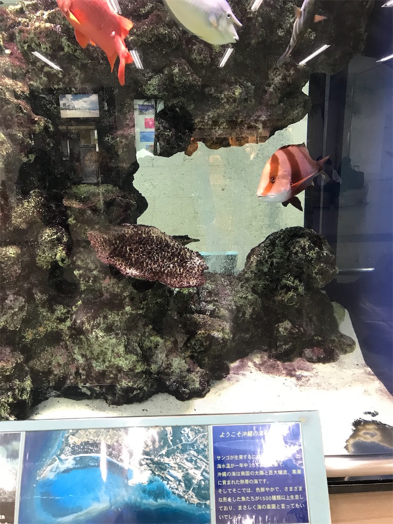 f:id:tetsu7906:20200205091700j:image f:id:tetsu7906:20200205091700j:image