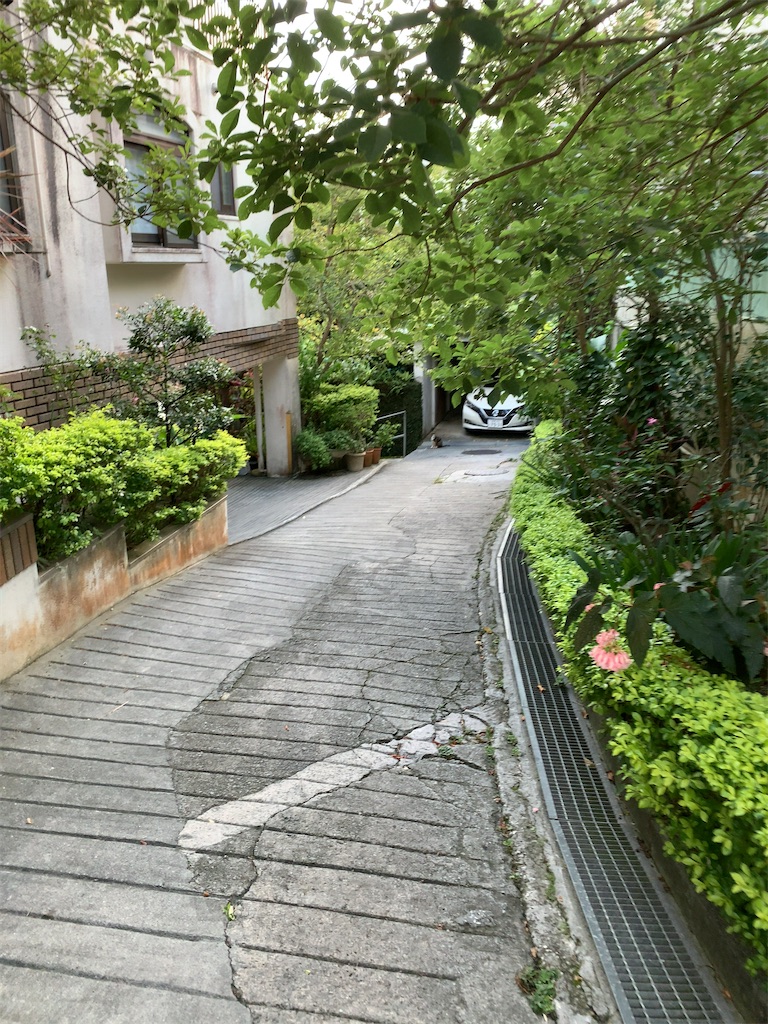 f:id:tetsu7906:20200721081145j:image
