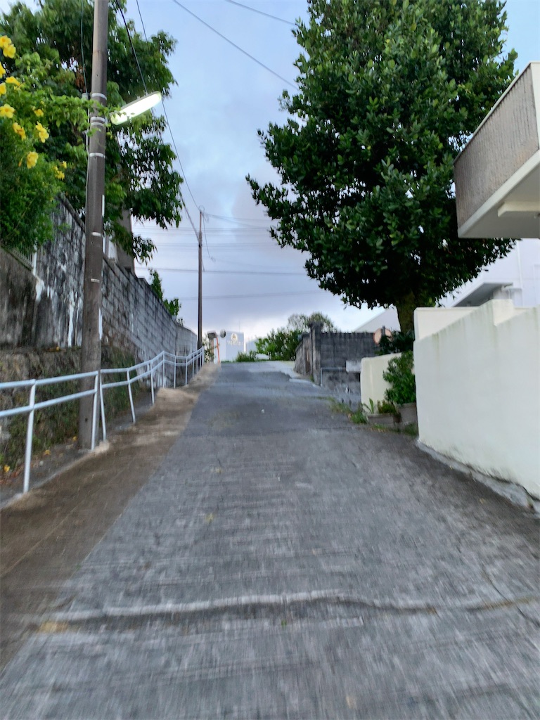 f:id:tetsu7906:20200721081157j:image