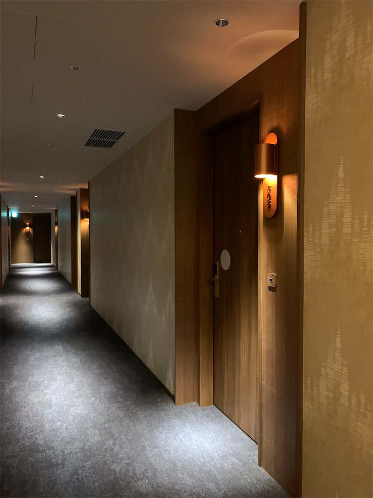 f:id:tetsu7906:20201117051451j:image