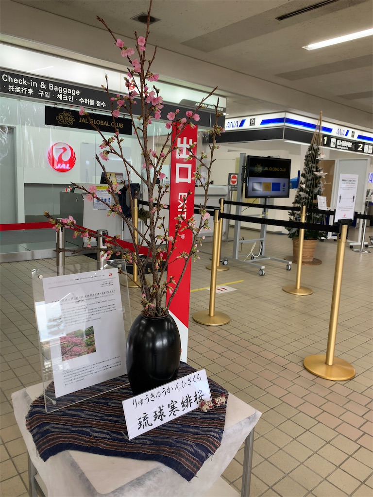 f:id:tetsu7906:20210210055834j:image f:id:tetsu7906:20210210055834j:image