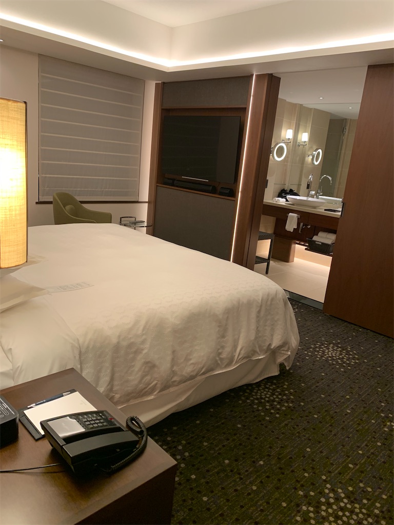 f:id:tetsu7906:20210221153303j:image