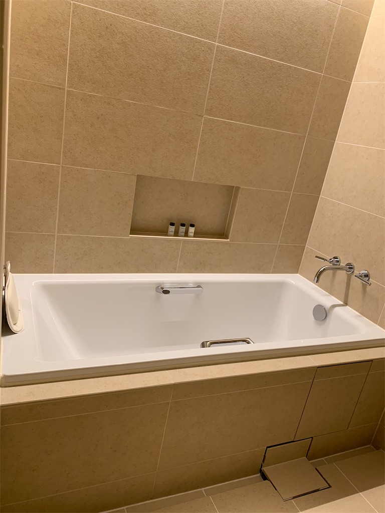 f:id:tetsu7906:20210221153322j:image