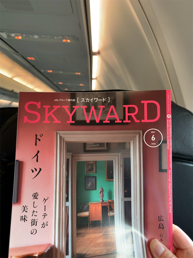 f:id:tetsu7906:20210623194333j:image