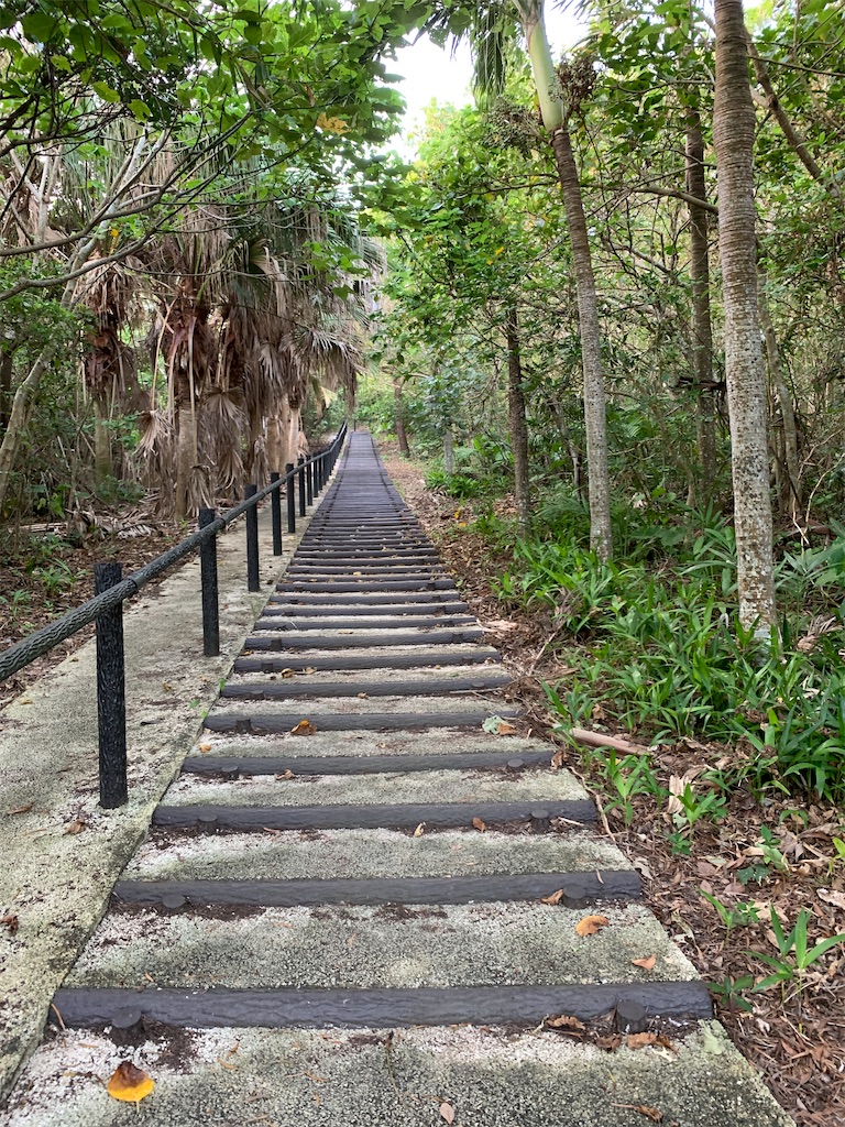 f:id:tetsu7906:20211203080619j:image f:id:tetsu7906:20211203080619j:image