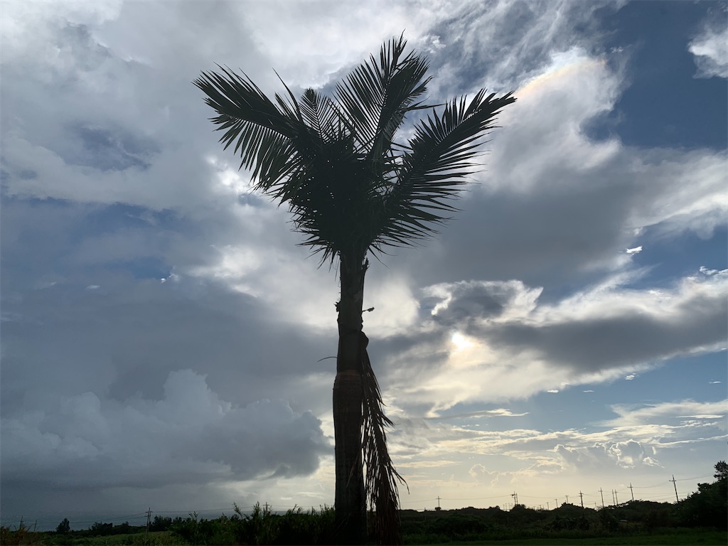 f:id:tetsu7906:20211203081322j:image f:id:tetsu7906:20211203081322j:image