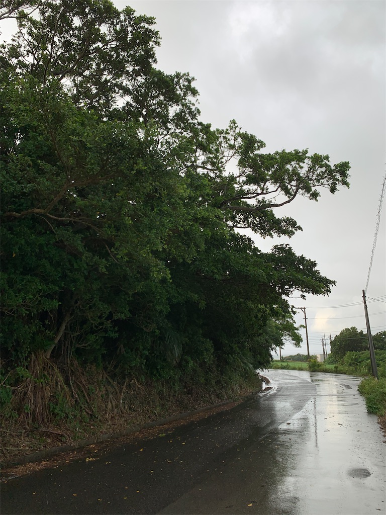 f:id:tetsu7906:20211203081339j:image f:id:tetsu7906:20211203081339j:image