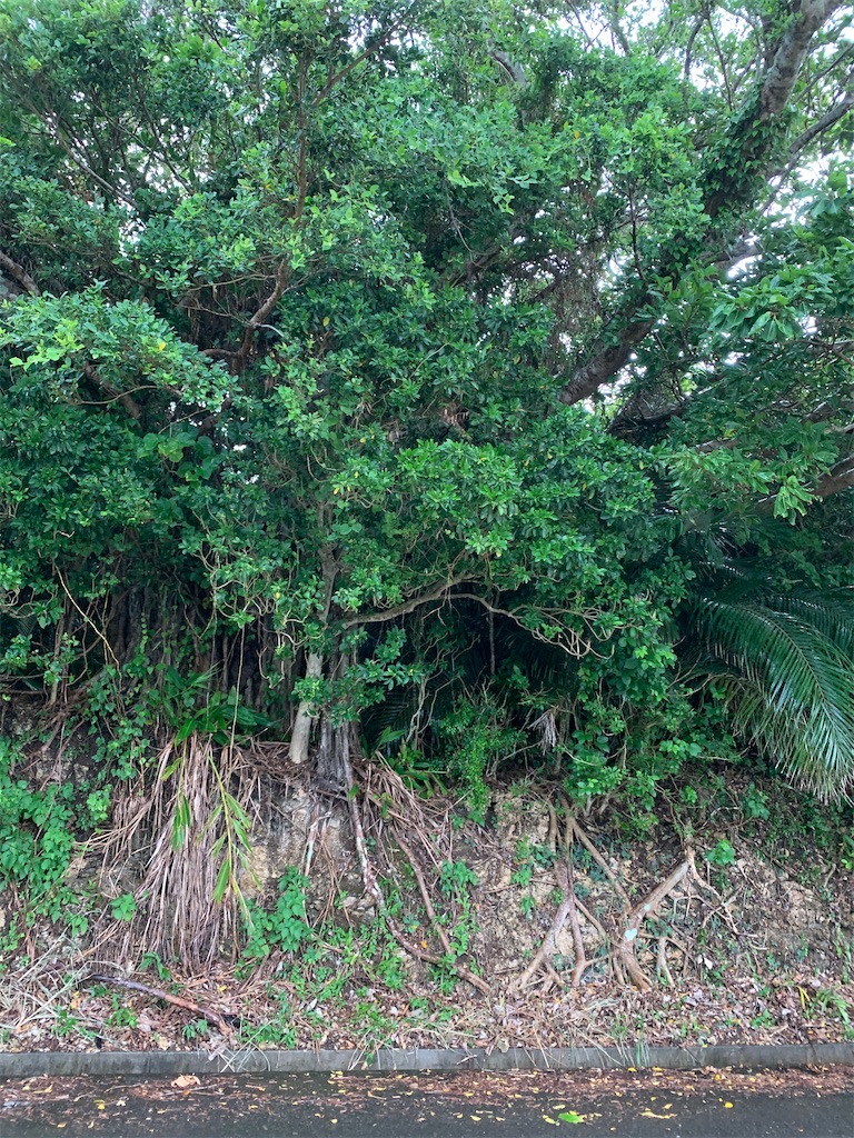 f:id:tetsu7906:20211203081345j:image f:id:tetsu7906:20211203081345j:image