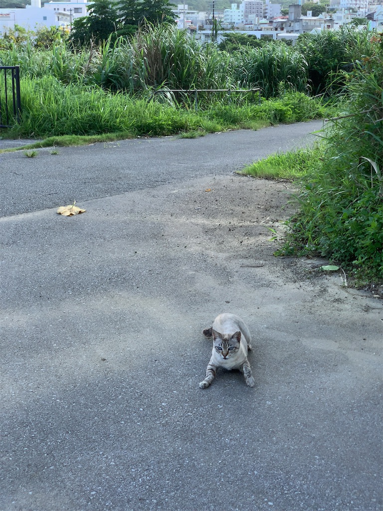 f:id:tetsu7906:20220627173944j:image