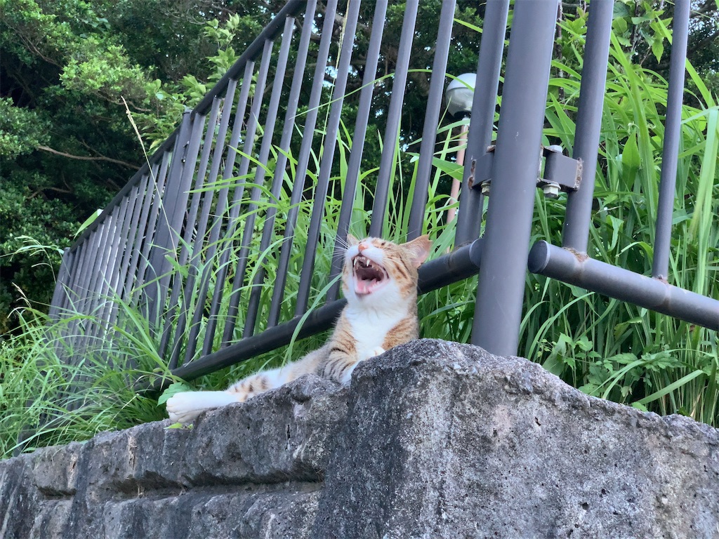 f:id:tetsu7906:20220627173957j:image