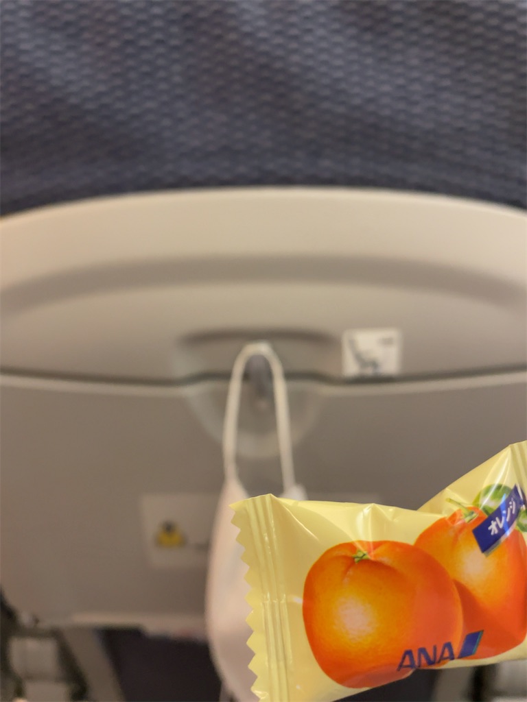 f:id:tetsu7906:20230617181220j:image f:id:tetsu7906:20230617181220j:image