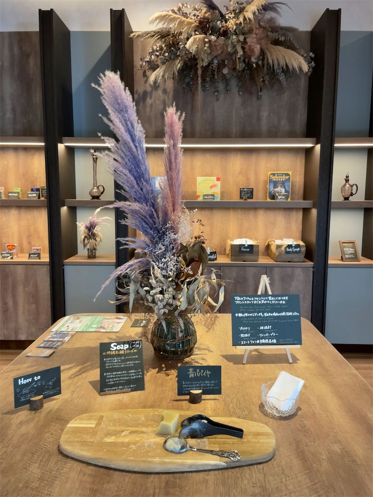 f:id:tetsu7906:20230620072235j:image