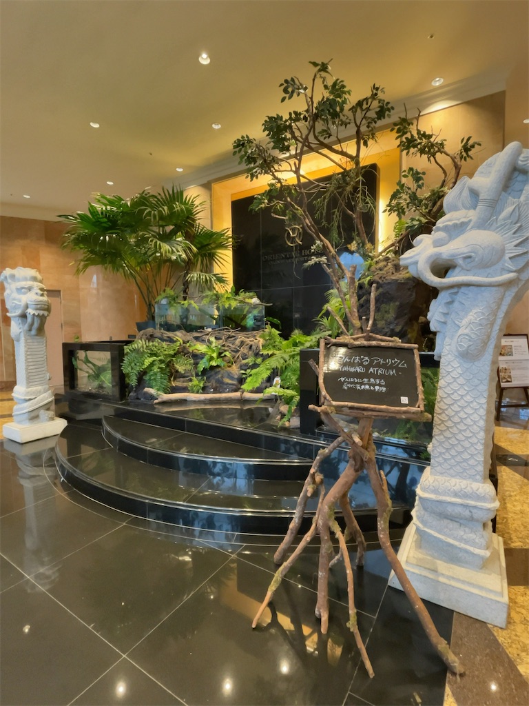 f:id:tetsu7906:20230620074008j:image