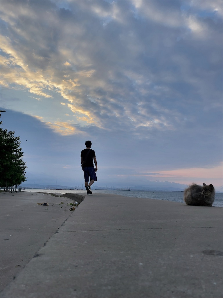 f:id:tetsu7906:20230923140840j:image