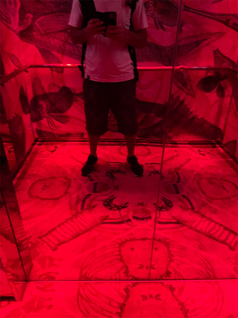 f:id:tetsu7906:20231117054949j:image f:id:tetsu7906:20231117054949j:image