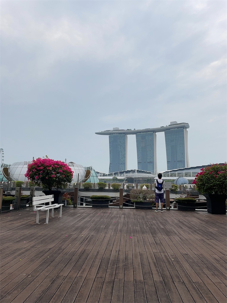 f:id:tetsu7906:20231117055008j:image f:id:tetsu7906:20231117055008j:image