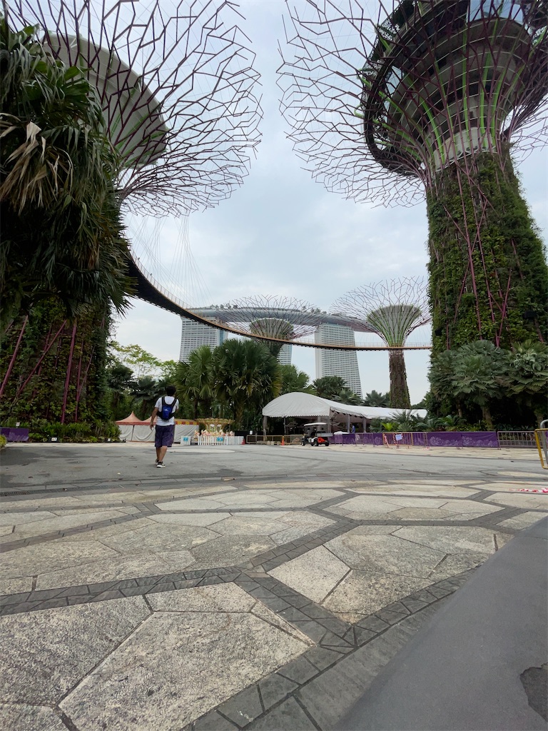 f:id:tetsu7906:20231117055020j:image f:id:tetsu7906:20231117055020j:image