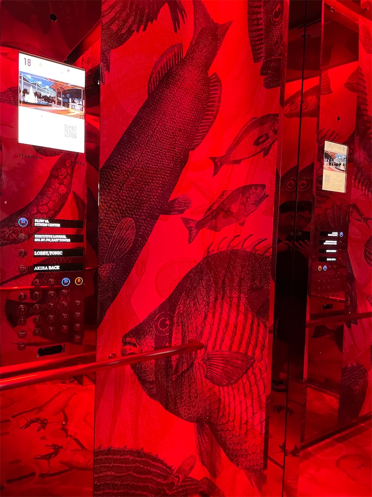 f:id:tetsu7906:20231117055040j:image f:id:tetsu7906:20231117055040j:image