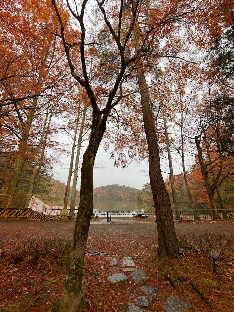 f:id:tetsu7906:20240112055846j:image