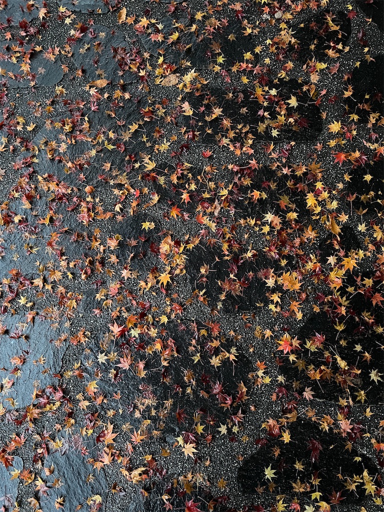 f:id:tetsu7906:20240112055856j:image