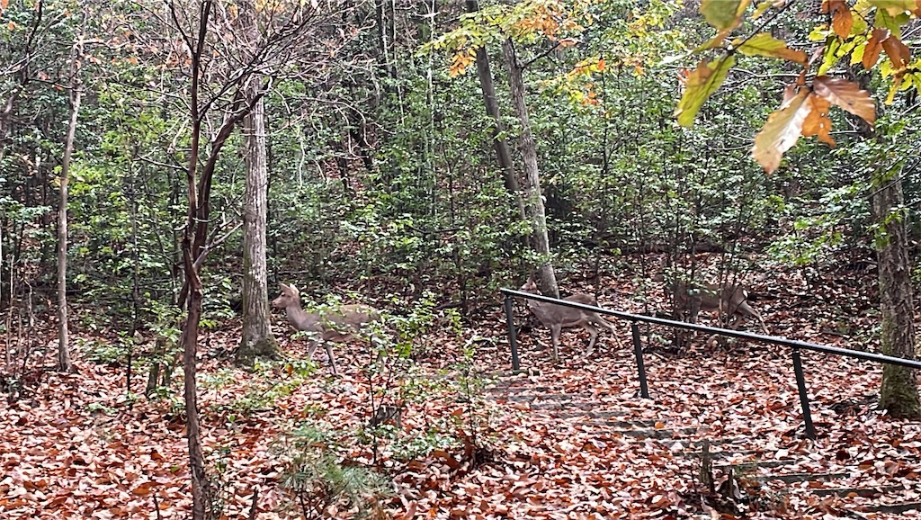 f:id:tetsu7906:20240112055910j:image