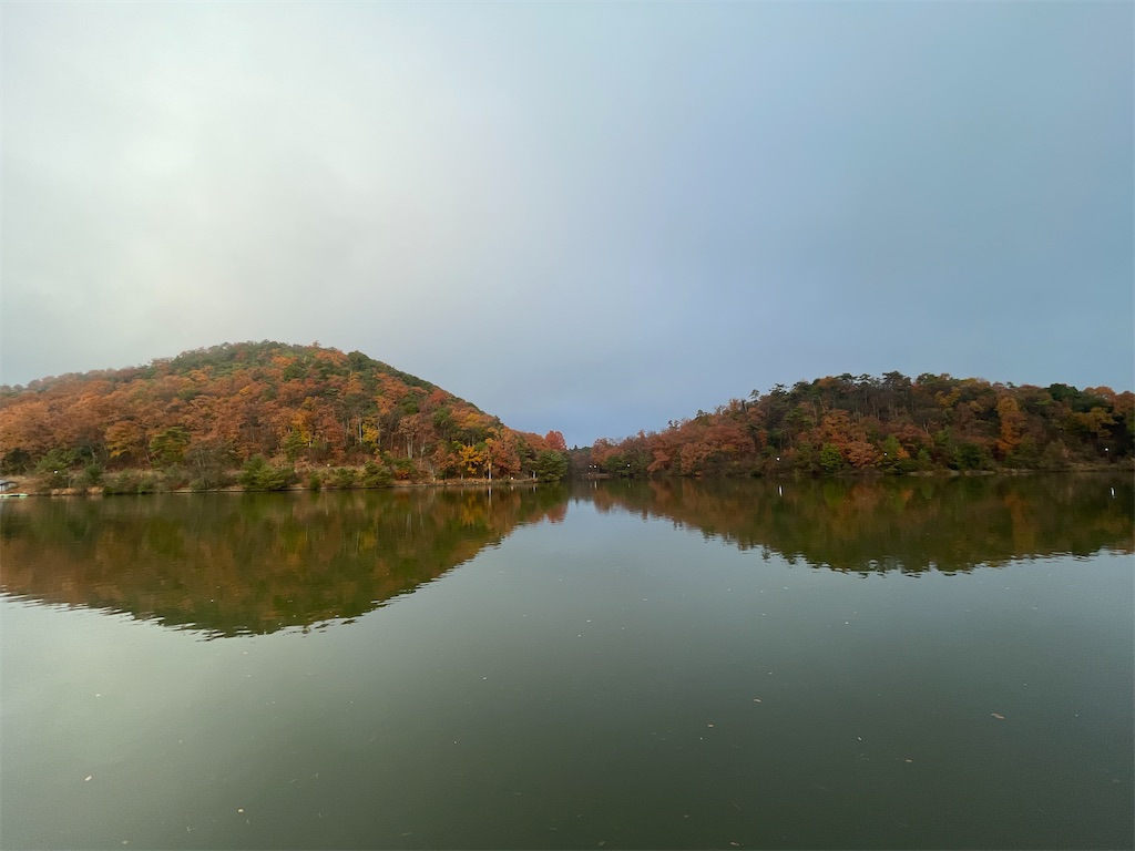 f:id:tetsu7906:20240112055926j:image