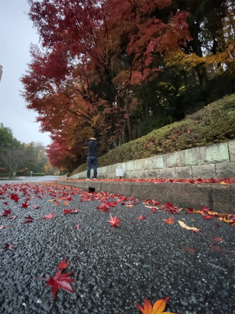 f:id:tetsu7906:20240112055929j:image