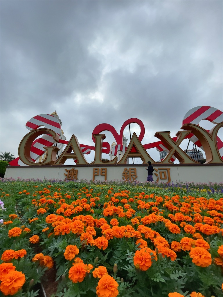 f:id:tetsu7906:20240202221105j:image