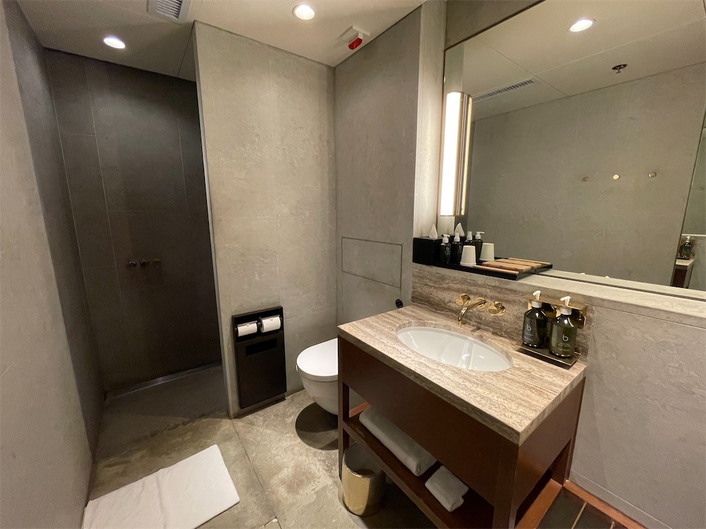 f:id:tetsu7906:20240211075559j:image