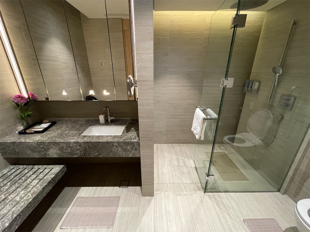 f:id:tetsu7906:20240217140608j:image