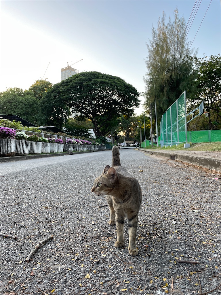 f:id:tetsu7906:20240225133458j:image