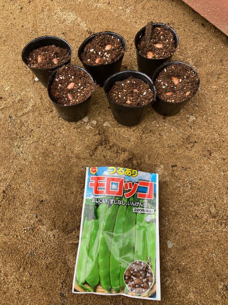 20230521213637