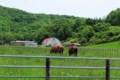 f:id:tetsubaaba:20130702105456j:image:medium f:id:tetsubaaba:20130702105456j:image:medium