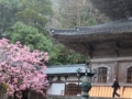 f:id:tetsubaaba:20140404150953j:image:medium f:id:tetsubaaba:20140404150953j:image:medium