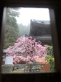 f:id:tetsubaaba:20140404151613j:image:medium f:id:tetsubaaba:20140404151613j:image:medium