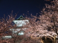 f:id:tetsubaaba:20140405190538j:image:medium f:id:tetsubaaba:20140405190538j:image:medium