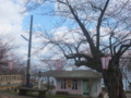 f:id:tetsubaaba:20140406130426j:image:medium f:id:tetsubaaba:20140406130426j:image:medium