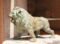 f:id:tetsubaaba:20140408123927j:image:small f:id:tetsubaaba:20140408123927j:image:small