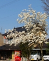 f:id:tetsubaaba:20140408145836j:image:medium f:id:tetsubaaba:20140408145836j:image:medium