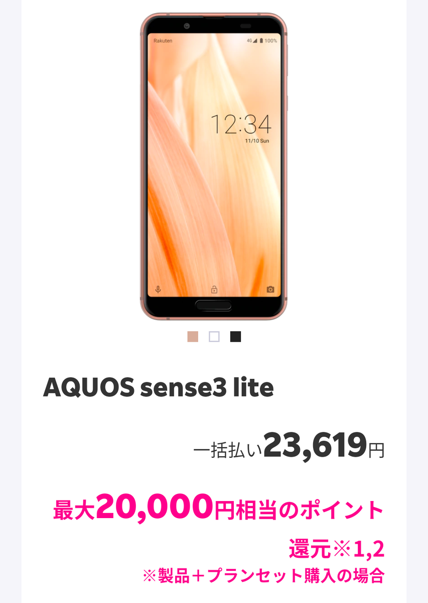 f:id:tetsuinvest:20210115120116p:plain