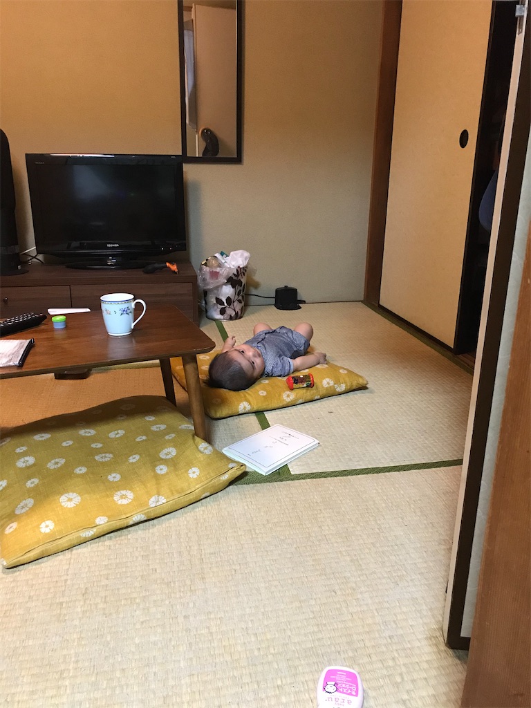 犬ダジャレ 学生に感心させられる 柴犬の新太郎